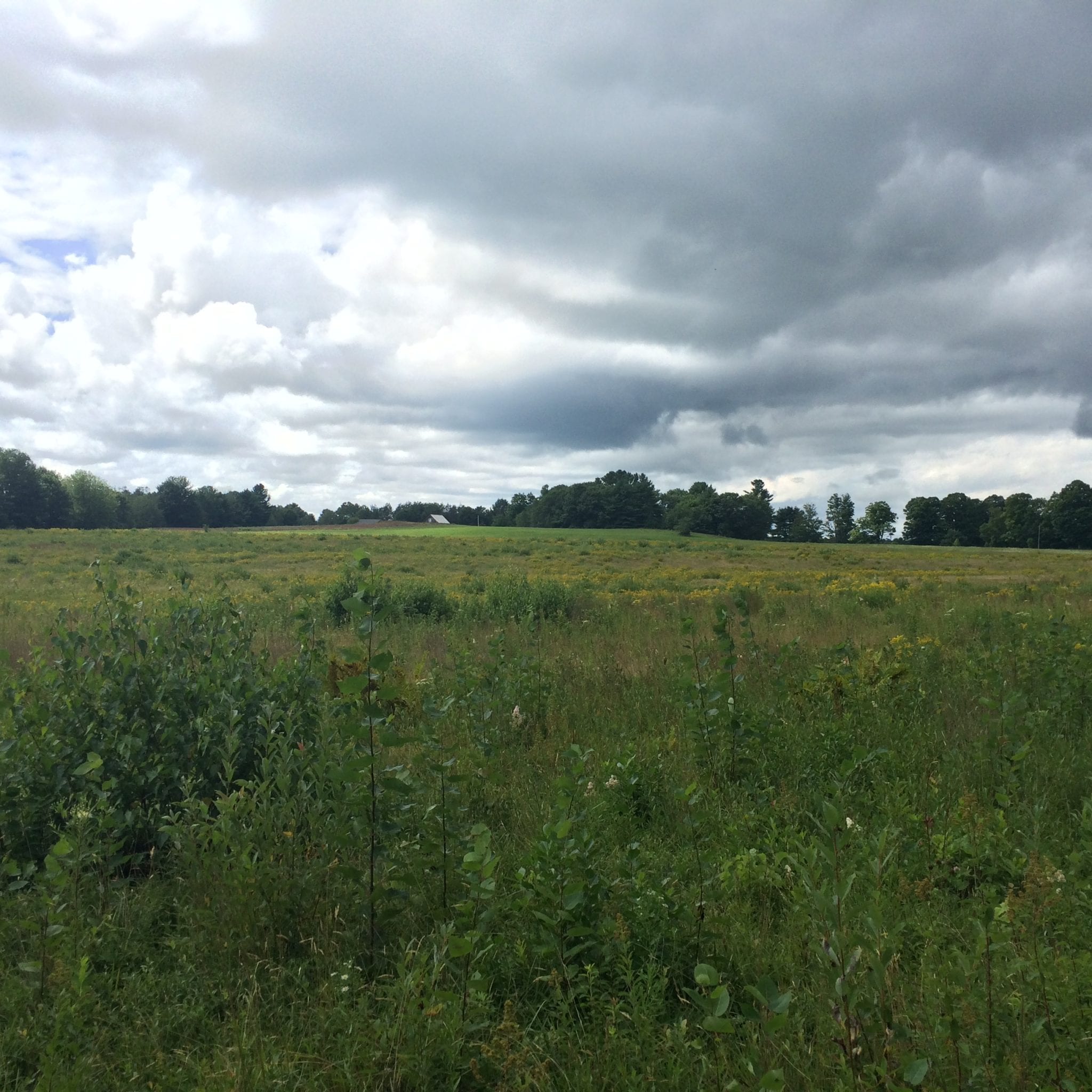 bowdoin trails maine