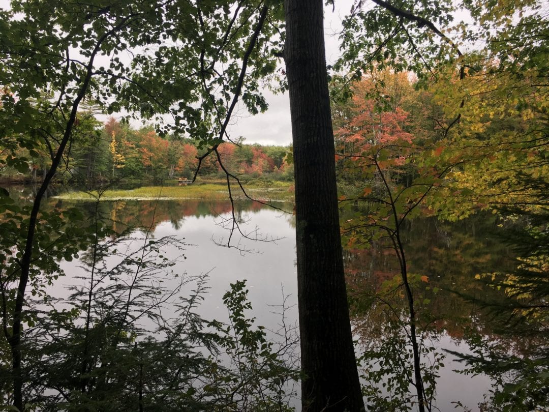 JonesBonney Turner Village Park Androscoggin Land Trust