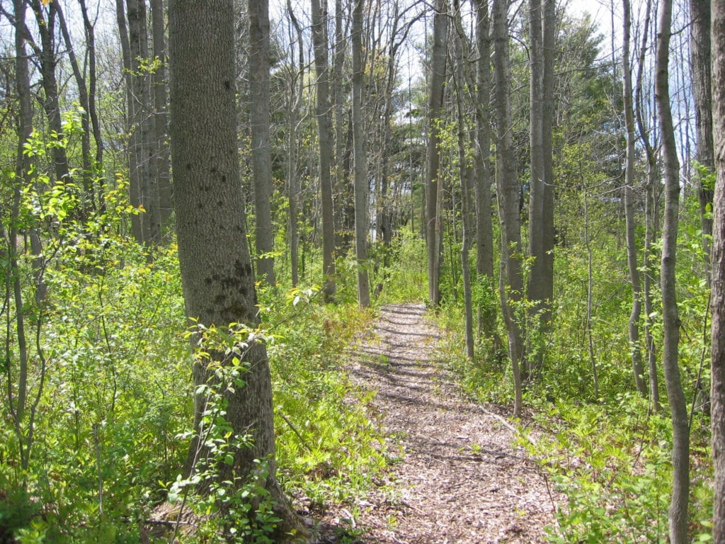 Trail Maps - Androscoggin Land Trust