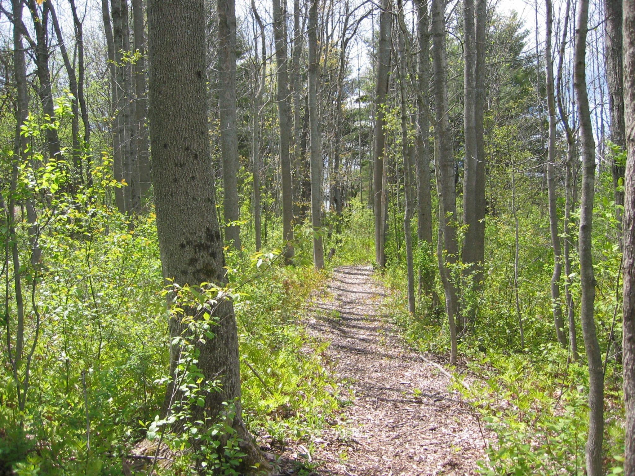 С кем связаны легенды о sherwood forest