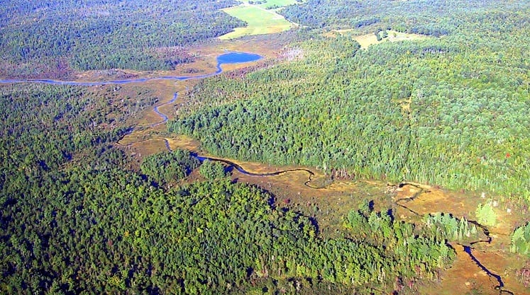 Jersey bog ALT