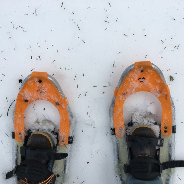 Snowshoe Hikes at Sherwood Conservation Area for Auburn Winterfest