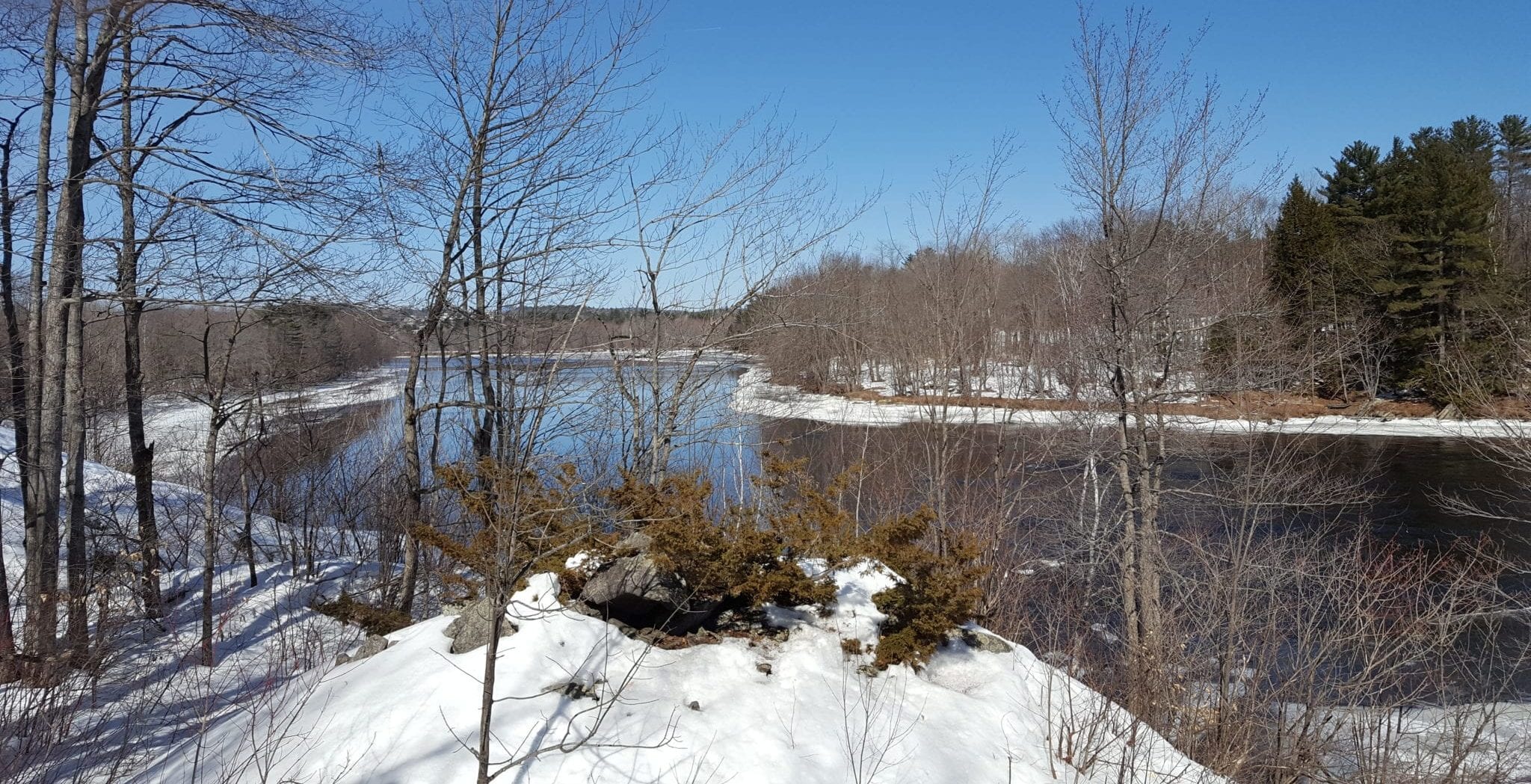 jay maine conservation area