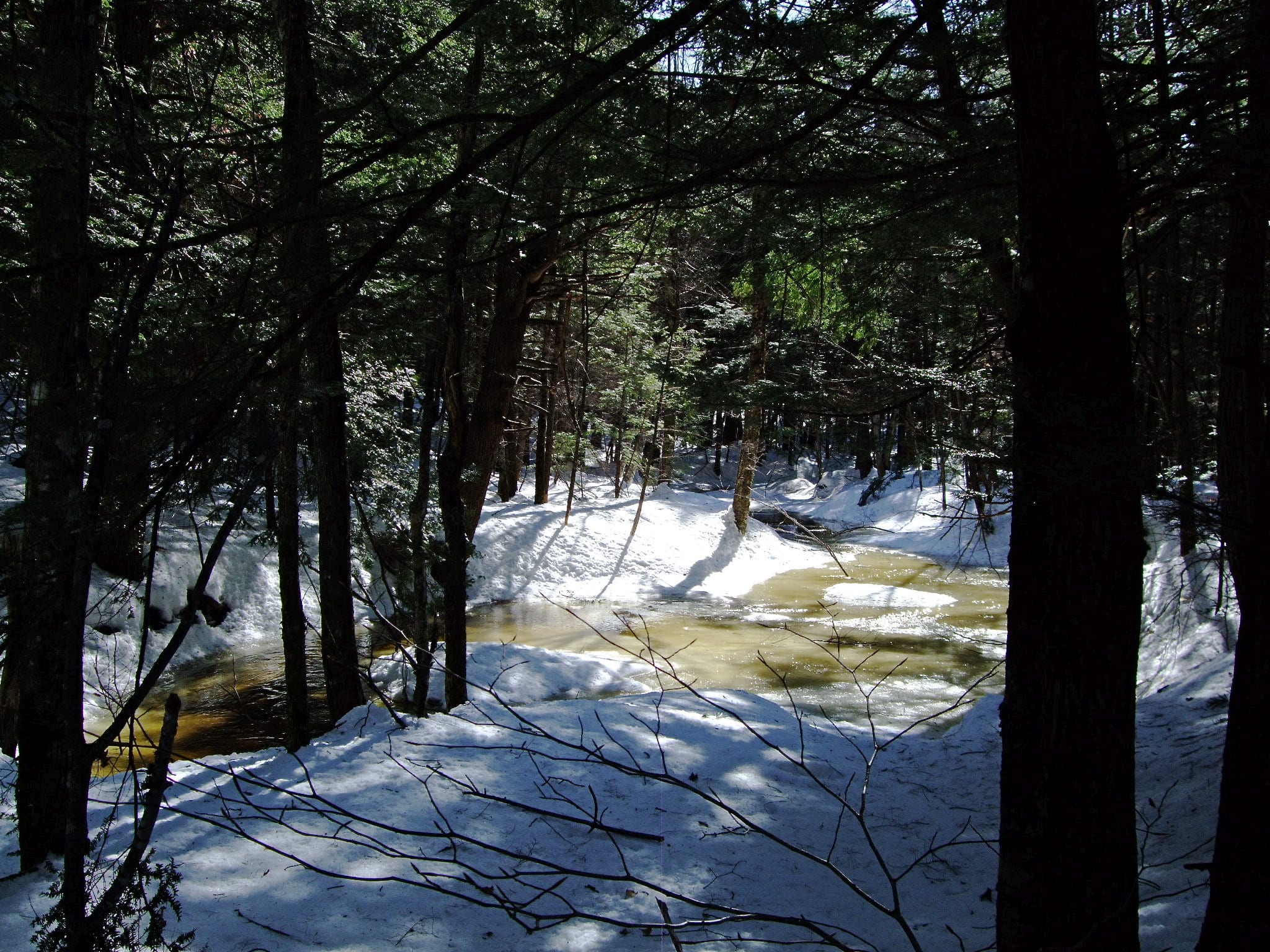 purinton homestead conservation area bowdoin