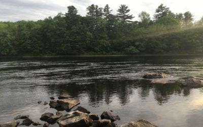 ALT 2022 River Clean-Up!